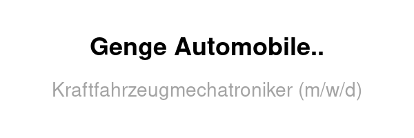 Genge Automobile GmbH & Co. KG /